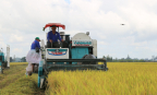 Ngành lúa gạo tăng giá trị, giảm phát thải