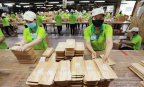 Ngành gỗ với bài toán giữ vững vị thế