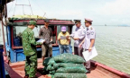 Ninh Bình siết quản lý tàu cá, chuẩn bị làm việc với Đoàn Thanh tra EC
