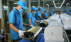 Quản trị nhân sự từ niềm tin đến hiệu suất dài hạn