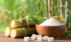 Ngành mía đường chuyển đổi xanh để nâng cao giá trị
