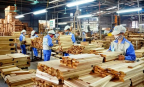 Ngành gỗ Việt Nam tăng tốc tái cấu trúc giữa làn sóng bảo hộ thương mại