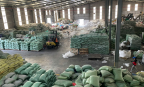 Doanh nghiệp trăn trở vì giá nhựa tái sinh