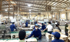 Khi tiêu chuẩn xanh định hình lại chuỗi cung ứng gỗ Việt