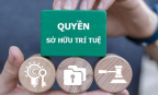 Khơi thông mạch vốn tri thức cho kinh tế bứt phá