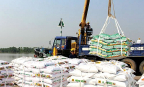 Xuất khẩu phân bón tăng mạnh, doanh nghiệp đối mặt áp lực cạnh tranh