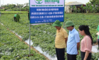 Khi khoa học công nghệ trở thành động lực của nông nghiệp xanh