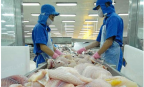 Thủy sản Việt Nam trước cơ hội mở rộng thị phần tại Hàn Quốc