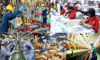 Tái định hình nguồn lực quốc gia từ tổng điều tra kinh tế