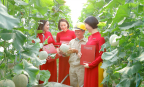 Ưu đãi tài chính cho nông nghiệp thông minh