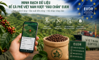 Minh bạch dữ liệu vùng trồng để giữ lợi thế xuất khẩu cà phê