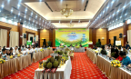 Đắk Lắk công bố Lễ hội Sầu riêng năm 2026: “Sầu riêng Đắk Lắk - Kết nối vươn xa”