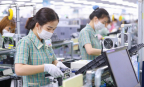 Làn sóng gia nhập đan xen sức ép rút lui của doanh nghiệp Việt