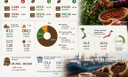 Cà phê Việt Nam trước bài toán giữ giá trị xuất khẩu