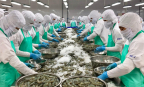 RCEP : Dư địa lớn, năng lực doanh nghiệp mới là điểm nghẽn