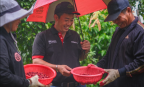Từ học viên thành người “truyền lửa”:  Hành trình đưa an toàn lao động về với các nông trại cà phê
