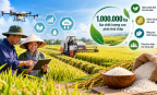 Đổi mới sản xuất lúa gạo, hướng tới giảm phát thải
