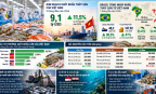 Xuất khẩu thủy sản Việt Nam tăng 11,5%, Brazil nổi lên như thị trường tiềm năng