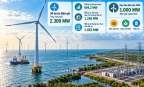 Cà Mau đẩy nhanh phát triển năng lượng tái tạo, hướng tới 1.000 MW điện gió ngoài khơi