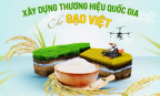 Xây dựng thương hiệu quốc gia cho gạo Việt