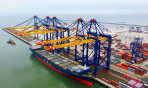 Việt Nam – Ấn Độ: Từ xúc tiến thương mại đến tái cấu trúc chuỗi giá trị