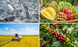 Diễn đàn Nông nghiệp 2026 khơi thông điểm nghẽn thể chế để nông sản Việt cất cánh