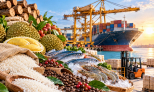 Nông lâm thủy sản phải chuyển từ tăng lượng sang tăng giá trị