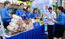 Khởi nghiệp không chỉ là miễn thuế