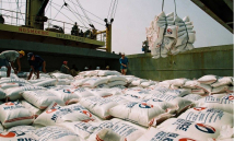 Cơ hội xuất khẩu gạo Việt Nam 2026: Tăng trưởng song hành thách thức 