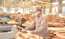 Việt Nam – Hoa Kỳ siết kiểm soát gỗ hợp pháp