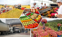 Nông lâm thủy sản giữ đà tăng trưởng giữa nhiều biến động