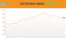 MXV-Index tăng phiên thứ ba liên tiếp, nhóm năng lượng dẫn dắt thị trường