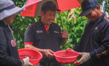 Từ học viên thành người “truyền lửa”:  Hành trình đưa an toàn lao động về với các nông trại cà phê