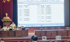 Tăng mức đặt cọc đấu giá đất lên tới 50% để chặn bỏ cọc, trục lợi