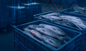 Các nhà nhập khẩu thủy sản Mỹ thiệt hại hơn 1 tỷ USD do chính sách thuế quan mới