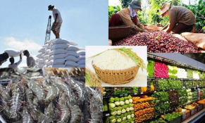 Bỏ kê khai thuế GTGT với nông, lâm, thủy sản chưa chế biến