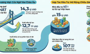 Việt Nam – Hà Lan trong cấu trúc thương mại EU