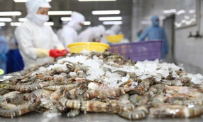 Năm 2026, cả nước phấn đấu xuất siêu trên 23 tỷ USD