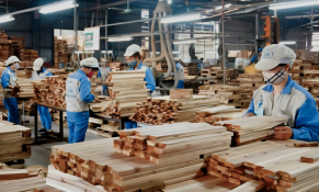 Ngành gỗ chuyển đổi xanh sẵn sàng cán mốc mới