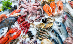 Thuỷ sản Việt Nam: Tái cấu trúc trong biến động, mở nền cho tăng trưởng bền vững