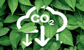 Việt Nam sẽ sớm đưa Sàn giao dịch tín chỉ carbon vào vận hành