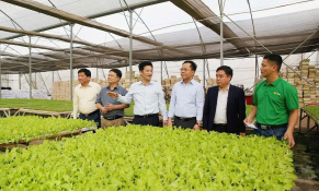 Nâng tầm sản xuất nông nghiệp theo chuỗi giá trị