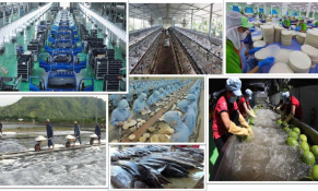 Khát vọng tự cường và chiều sâu văn hóa