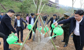 Phát động Tết trồng cây xuân Bính Ngọ 2026