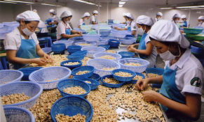 Ngành điều mở rộng chuỗi giá trị đón đầu chu kỳ tăng trưởng mới