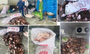 Không để thực phẩm bẩn len lỏi ra thị trường