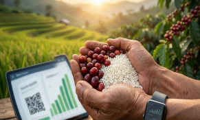 'Xoay trục' nông sản Việt Nam: Từ chiến lược cận biên đến cuộc chơi thương hiệu toàn cầu