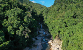 Quảng Trị định hình chuỗi giá trị gỗ bền vững