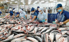 Doanh nghiệp thủy sản hóa giải xung đột bằng tư duy quản trị rủi ro