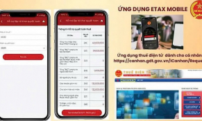 Khi thủ tục thuế được thực hiện trên môi trường số